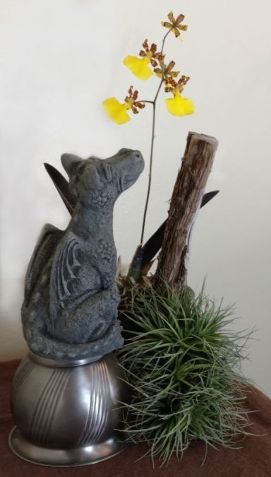 Sheri M., TOS, Mar. 25, 2021. Entry 3. Oncidium splendidum in bloom with dragon sculpture.